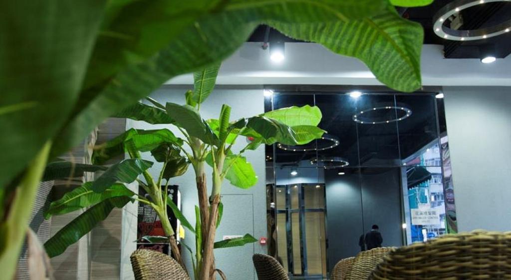 M1 Hotel Hongkong Eksteriør bilde